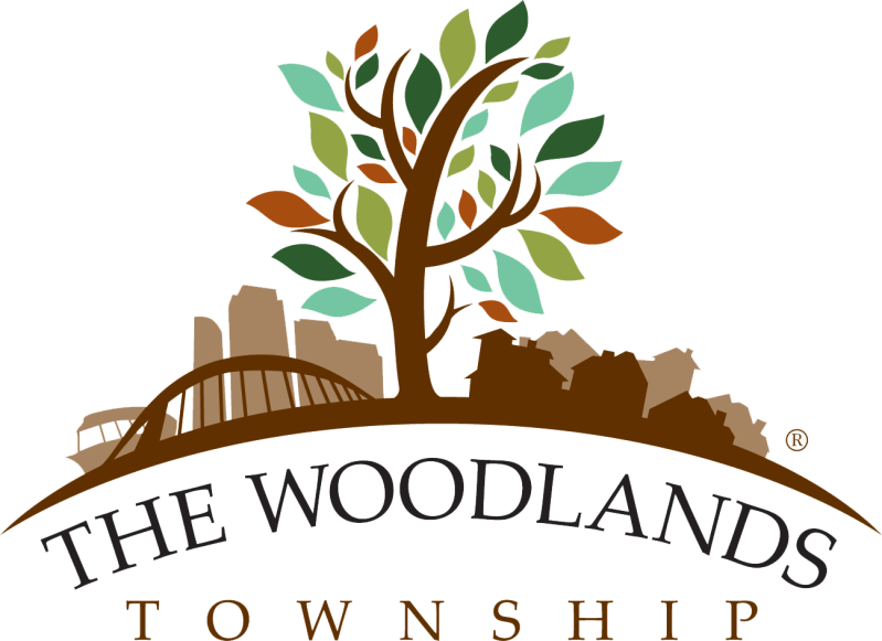 Logo with a tree above cityscape and 'The Woodlands Township' text.